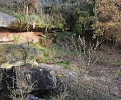 Photographie de PASTORELLES, BALMA DE LES (2 sur 3)