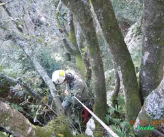 Fotografia de ENCANTATS, COVA PETITA DELS (1 de 4)