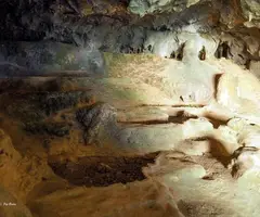 Fotografia de BASSIOL, COVA DEL (4 de 6)