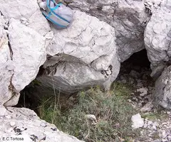 Fotografía de MOSCA, AVENC DE LA (2 de 2)