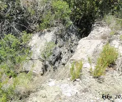 Fotografía de PUIG RONDA, AVENC (2 de 3)