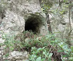 Fotografía de TOIXÓ, COVA DEL (1 de 7)