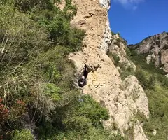 Fotografia de AGULLES, AVENCÓ DE LES (2 de 3)