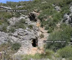 Fotografía de ESQUELETS, AVENC DELS (1 de 6)
