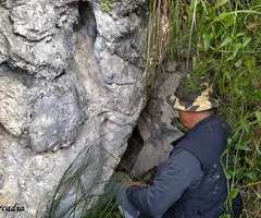 Fotografia de PELAGONS, AVENC DELS (3 de 4)