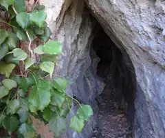 Fotografía de CINGLE DELS ÒBITS, COVA DEL (1 de 3)