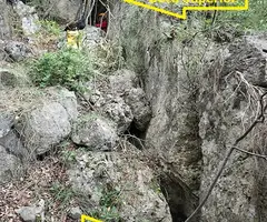 Fotografia de ARBRES PETITS, AVENC DELS (1 de 10)