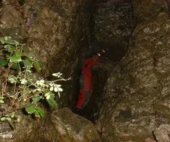 Fotografia de FONDAL, COVA DEL (1 de 4)