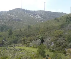 Fotografia de CALOBRES, COVA DE LES (1 de 3)