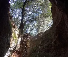Photograph of SOT DE LA CARDA, AVENC DEL (2 of 2)
