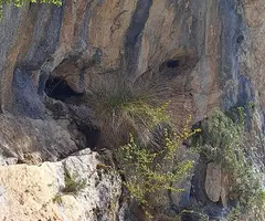 Fotografia de COMARQUES, COVA DE LES (2 de 5)