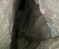 Photographie de GRANOTA, COVA DE LA (3 sur 5)