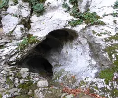 Fotografia de MASSOT, COVA D'EN (1 de 1)