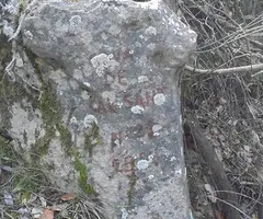 Fotografía de CAL SANT, COVA DE (1 de 5)