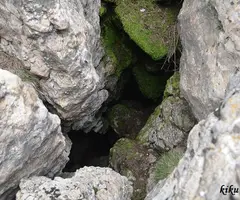 Fotografía de CAMPAMENT, AVENC DEL (4 de 4)