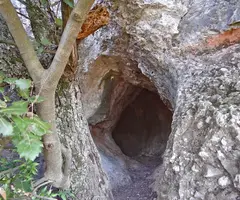 Photograph of PUJOL DE LA MATA, FORADADA DEL (3 of 4)