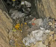 Fotografía de TOMBA DEL SITJAR, LA (3 de 5)