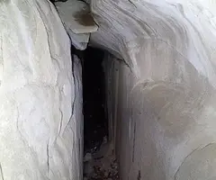 Fotografia de MASALLERA, BORA LLARGA D'EN (4 de 5)