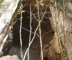 Fotografia de NEGRE D'ESCALES, FORAT (1 de 6)