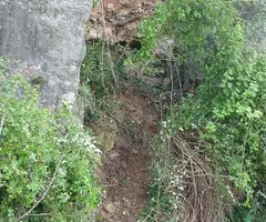 Fotografia de TRENCADA, COVA (4 de 5)