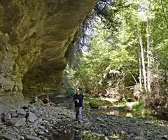 Photograph of TORRENT DE LA FÀBREGA, BAUMA DEL (1 of 2)