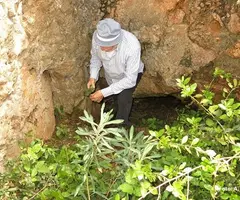 Fotografia de COLLET, AVENC DEL (3 de 6)
