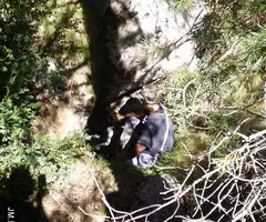 Fotografia de CINGLE DE LA CORBA, AVENC DEL (1 de 5)