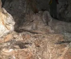 Fotografia de MANYÉ, COVA DEL (4 de 8)