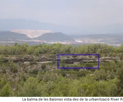 Fotografia de BAIONES, BALMA DE LES (1 de 3)