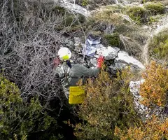 Fotografía de ALSAMORA, GRALLERA PETITA D' (1 de 6)