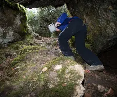 Fotografía de OBAGA D'ESPADES, BÒFIA DE L' (3 de 15)