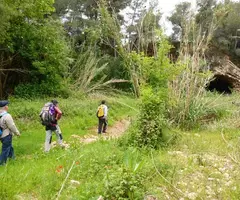 Fotografía de GRAN, COVA (1 de 5)