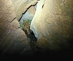 Fotografia de SASTRE, COVA DEL (4 de 4)