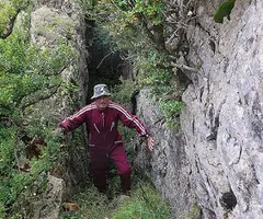 Fotografia de PARDINA, GRALLER Nº2 DE LA (2 de 9)