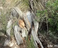 Fotografia de ROCA NEGRA, AVENC DE (4 de 8)