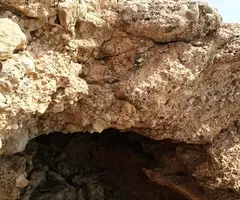 Fotografía de PESCADOR, COVA DEL (1 de 3)