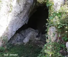 Fotografia de CIM DE L'OBAGA DEL POLLO, COVA-AVENC DEL (1 de 7)
