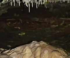Fotografia de GORG NEGRE, BALMA DEL (5 de 5)
