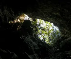 Photographie de CANTARELLA, COVA DE LA (2 sur 5)