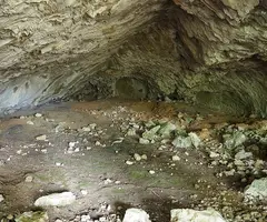 Fotografía de PASTOR, COVA DEL (5 de 12)