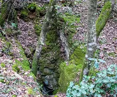 Photograph of GUILLOTERES, COVA DE LES (1 of 3)