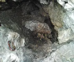 Fotografia de PENJADA DEL BARRANC FONDO, COVA (4 de 4)