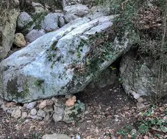 Fotografia de GRÈVOL, COVA DEL (1 de 2)