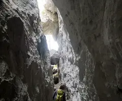 Fotografia de PALOMERA, ESQUERDES DE (7 de 11)