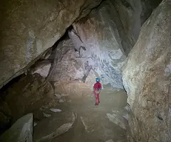 Fotografía de CARTANYÀ, COVA (9 de 12)