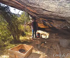 Fotografía de AMPLE, COVA DE L' (1 de 1)