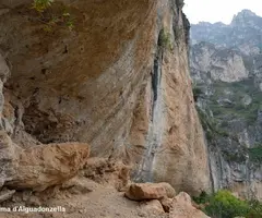 Fotografia de AIGUADONZELLA, COVES D' (5 de 5)