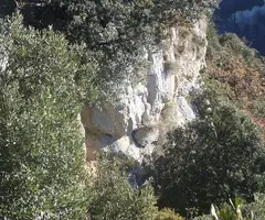 Photographie de PLA DE VACA, COVA DEL (4 sur 4)