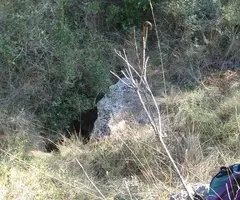 Fotografia de GOSSOS, AVENC DELS (2 de 3)