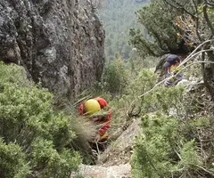 Fotografia de CINGLE, AVENC DEL (1 de 8)